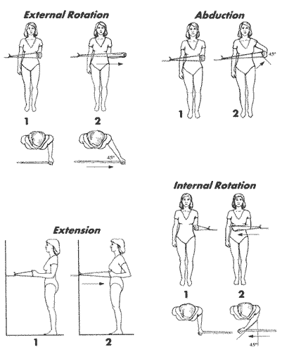 shoulderexercises.gif