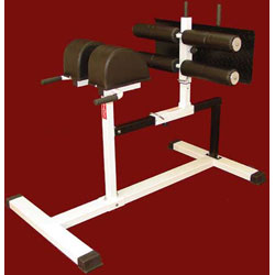 Glute and Hamstring Machine with Wide Plates