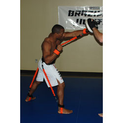 Python Striker Large Belt for Hand and Foot Speed Training