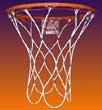 Permanet Basketball Net
